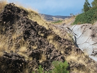 rrente Quarantore-20110911 117